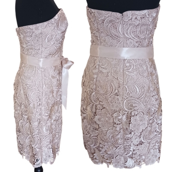 Adrianna Papell Lace Strapless Cocktail Sheath Dress - Picture 5 of 14